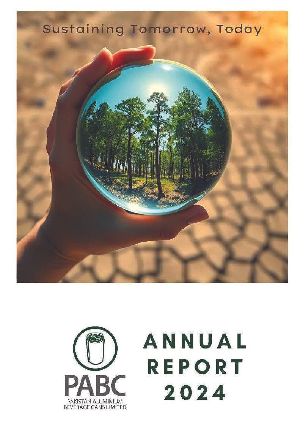 Annual Company Financial Report (Sample)